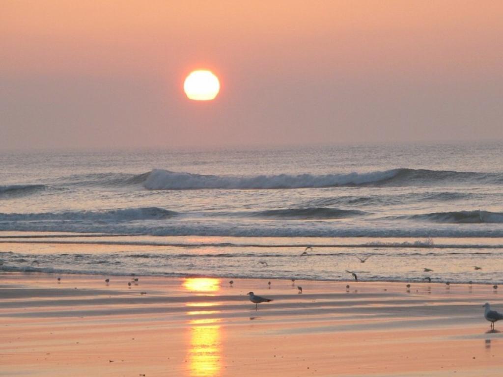 Island Breeze Motel North Wildwood Buitenkant foto